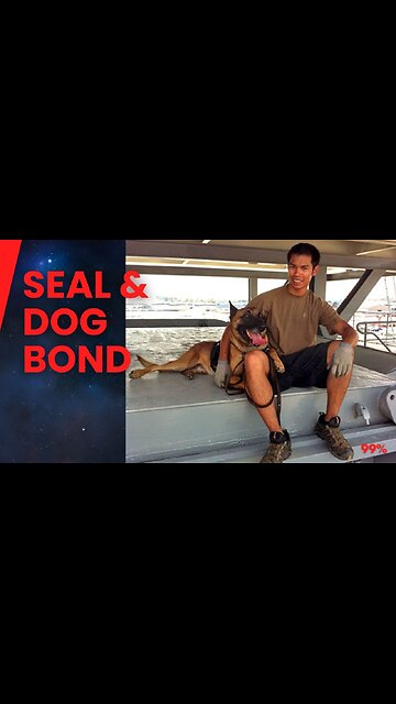 The Unbreakable Bond: SEAL and His Dog's Final Moments