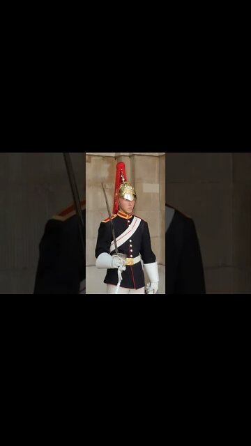 the queen's guard blues and royals #horseguardsparade