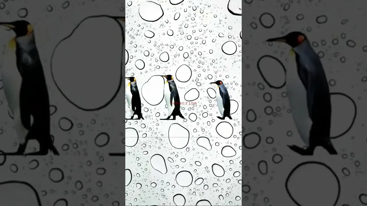 OMG 😃😃 Penguin Family how are you doing beautiful creation watch and enjoy.