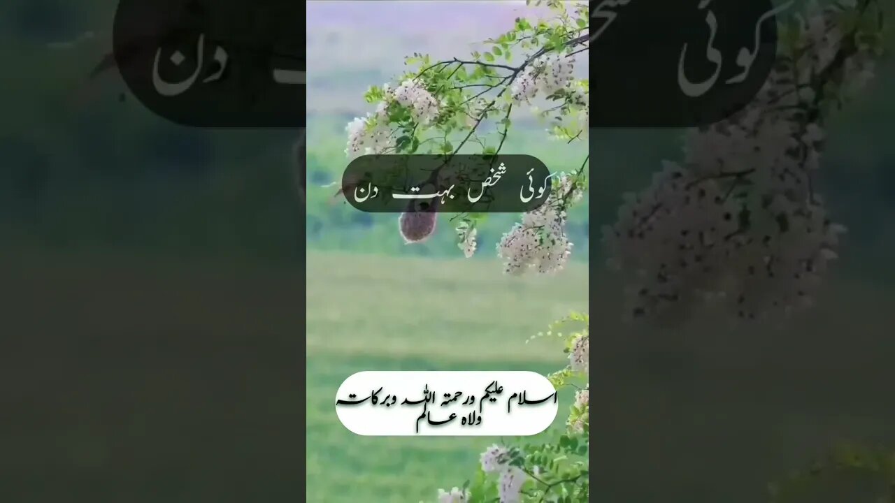 Jub Insan Masjid Ko Our Zikr e Ilahi Ko Apna Banata Hai.