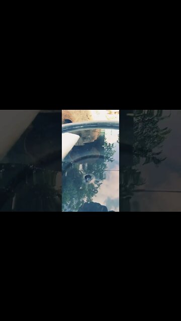 water drops #shorts #viral