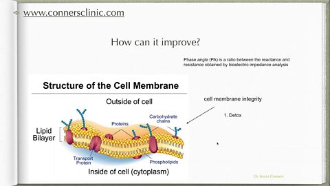 Cancer and your Phase Angle - Dr. Kevin Conners | Conners Clinic