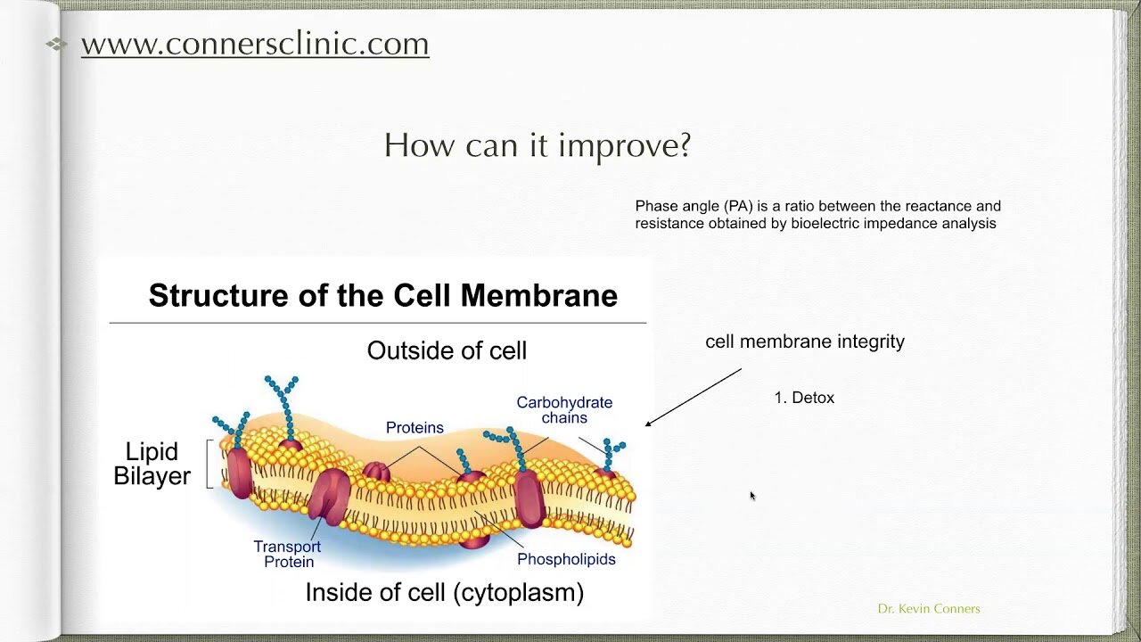 Cancer and your Phase Angle - Dr. Kevin Conners | Conners Clinic