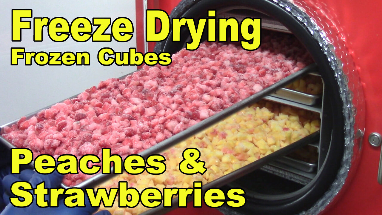 Freeze Drying Frozen Strawberry and Peach Cubes