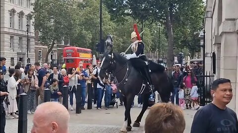 Horse won't settle solider rubs his legs #horseguardsparade