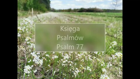 Księga Psalmów - Psalm 77