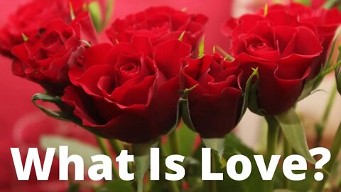 What Is Love? | Ilelemwanta Nomaren