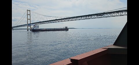 Freighters crossing under the Mac bridge