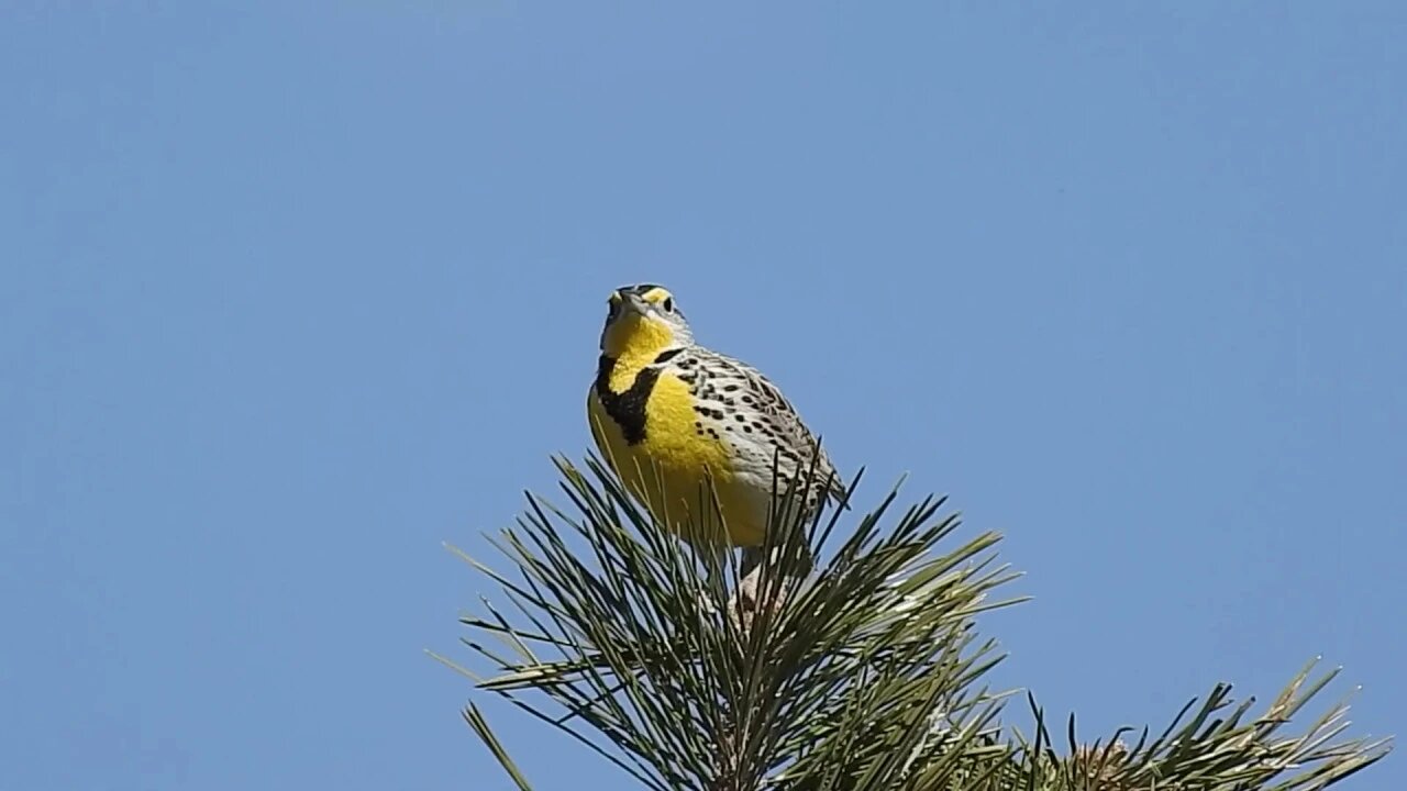 3939 Days Left For The Planet