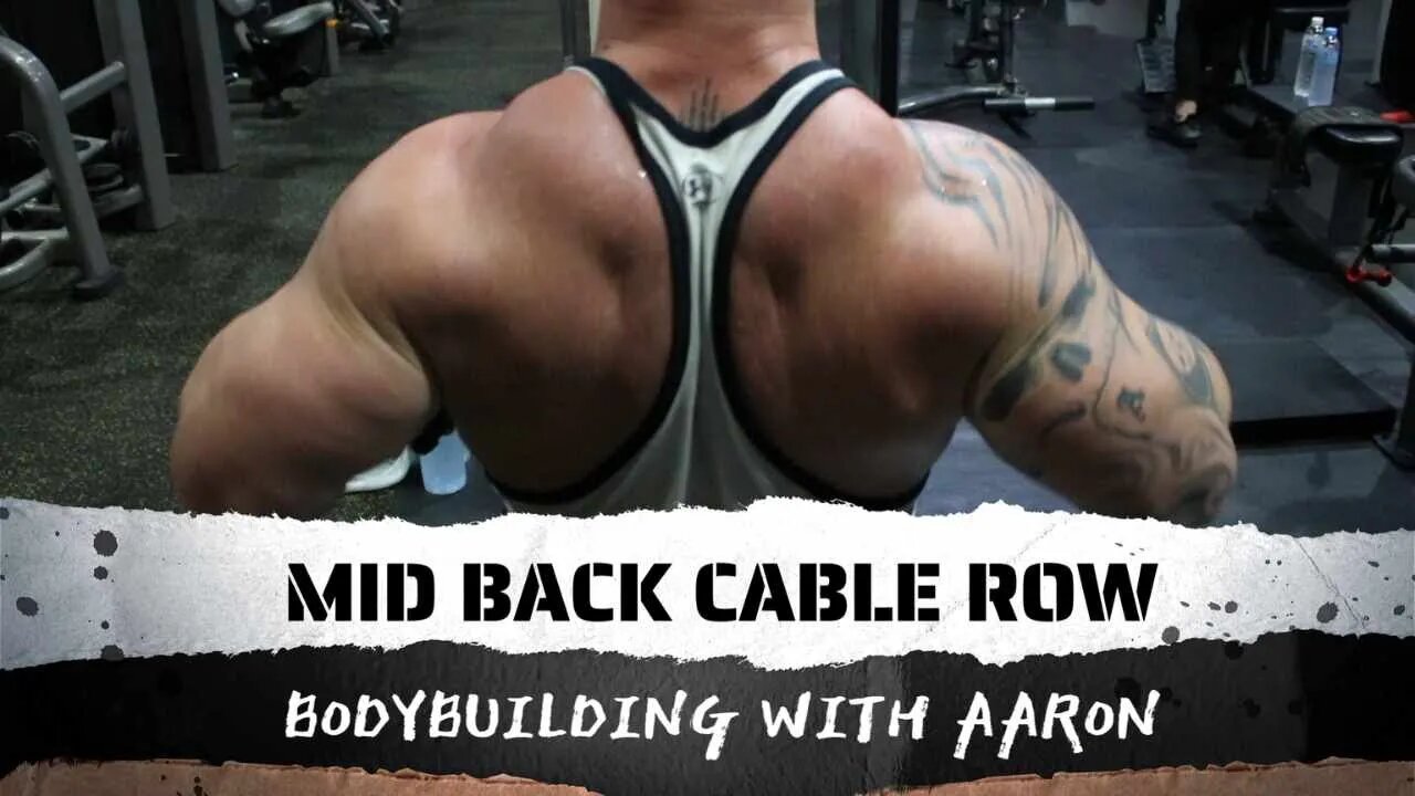 MID BACK CABLE ROW 101