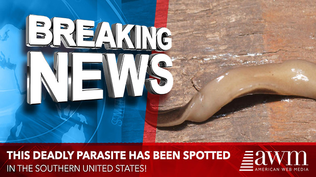 Deadly New Parasite Spotted In North America For The First Time