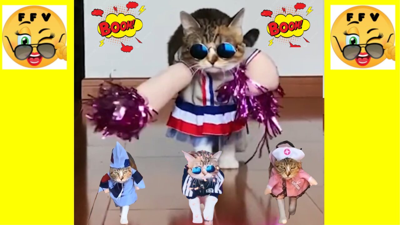 Extremely Cute And Funny Catwalk Performance Of Dogs And Cats