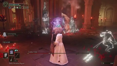 (Elden Ring) God skin noble
