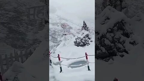 #drivingfails #shorts