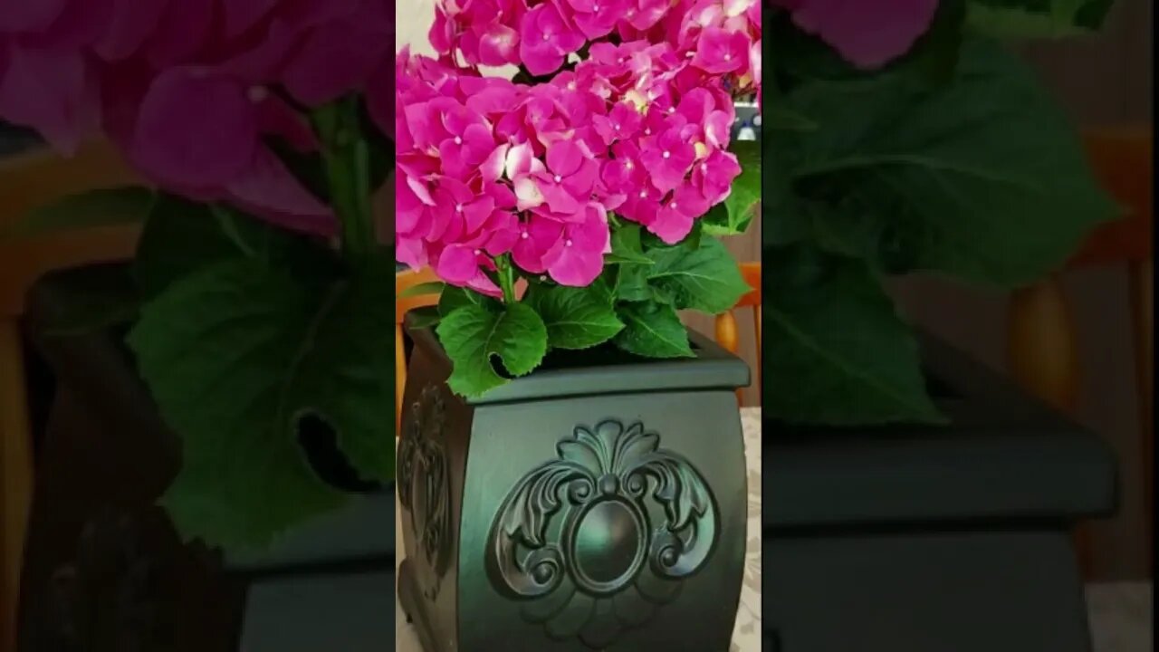 Formas 3d para vasos de cimento, Forma Para Fabricação De Vasos #shortsvideo #shorts #videoshort