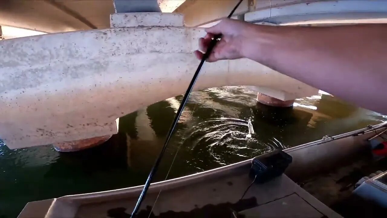 Spawning bridge crappie on jigs, jigging crappie, slab jigging