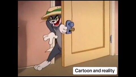 Tom and Jerry vs Reality - Looks like it was all true