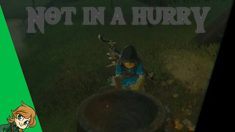 Sometimes, You Just Need to Take a Break | Breath of the Wild Ep 15