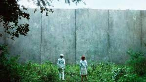 Orphans Raised Inside This Giant Wall To Be Harvested ! Movie Explained in Hindi