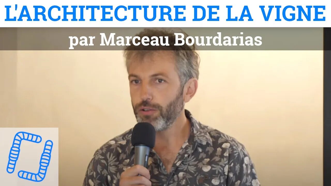 Innovation dans la taille & l'architecture de la vigne, par Marceau Bourdarias