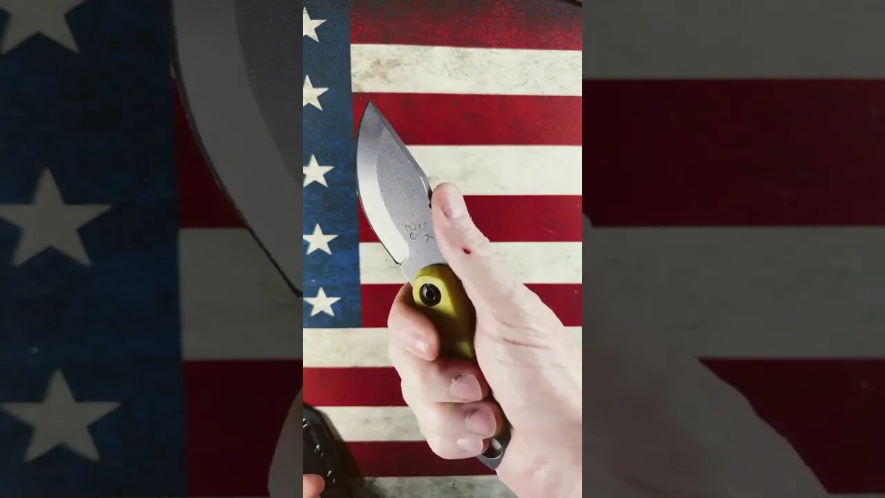 360 degree tour of the 2023 Skur by @Jevans_Knifeaddict_Life | Shed Knives #shedknives #shorts