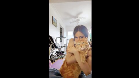 #cat #neko #mainecoon #tabbycat #orangecat #cats