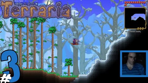 #3 Terraria Christian Stone LIVE!