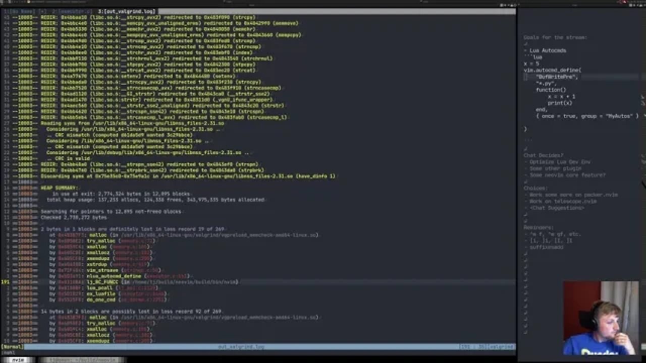 Neovim Core Dev: Working on Neovim Related Things