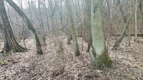 co mnie przy życiu trzyma ? kofeina ? :):)