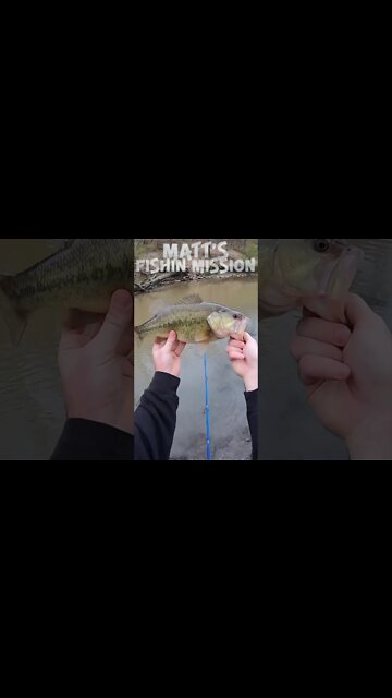 Winter TANKER of a largemouth! (short version)