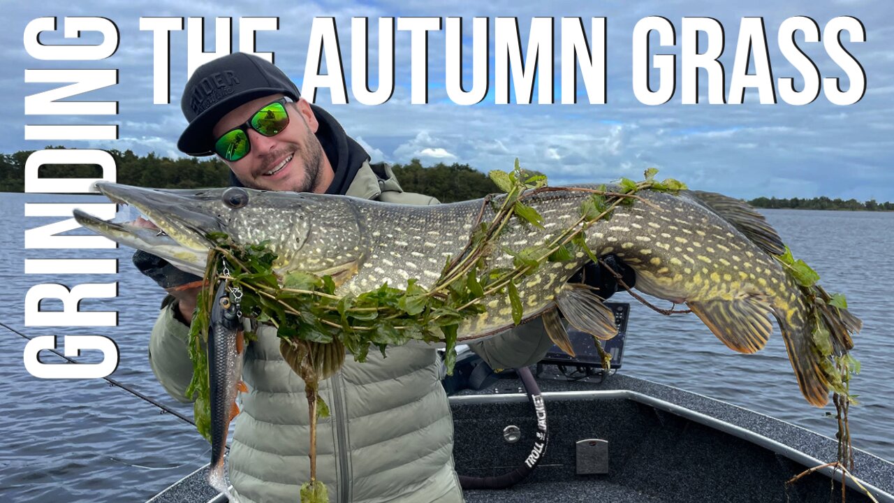 Shallow Water Pike Fishing