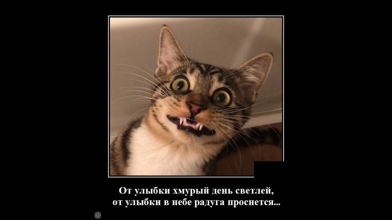 Short videos Smile more often 3