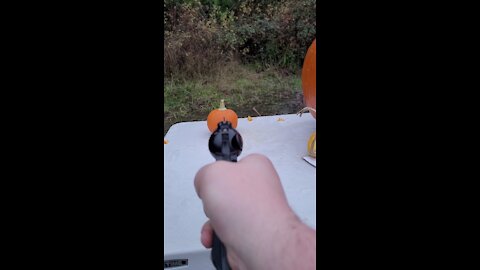 .22 win mag vs sugar pumpkin