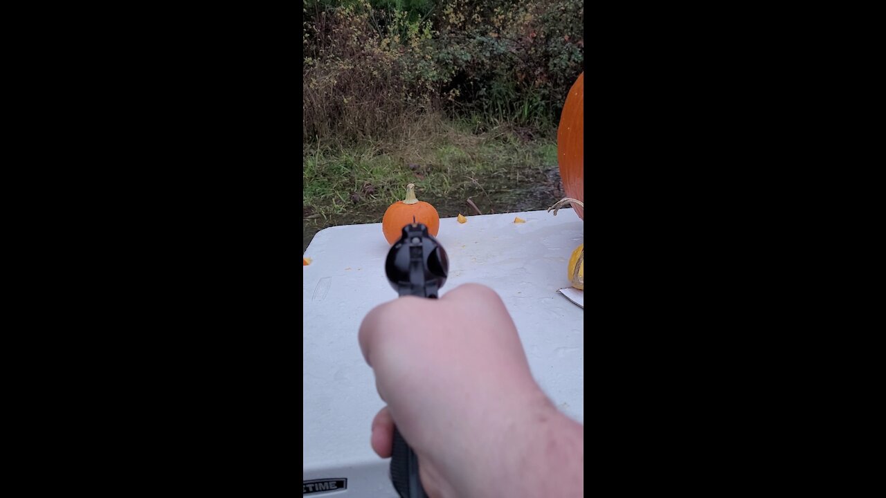 .22 win mag vs sugar pumpkin