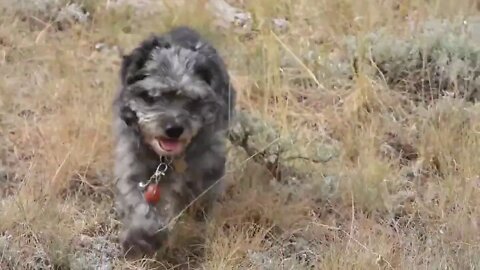 Social Distancing Saturday