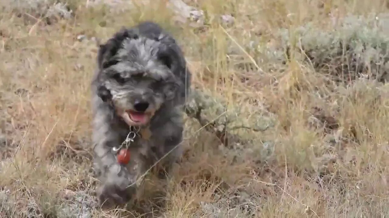 Social Distancing Saturday