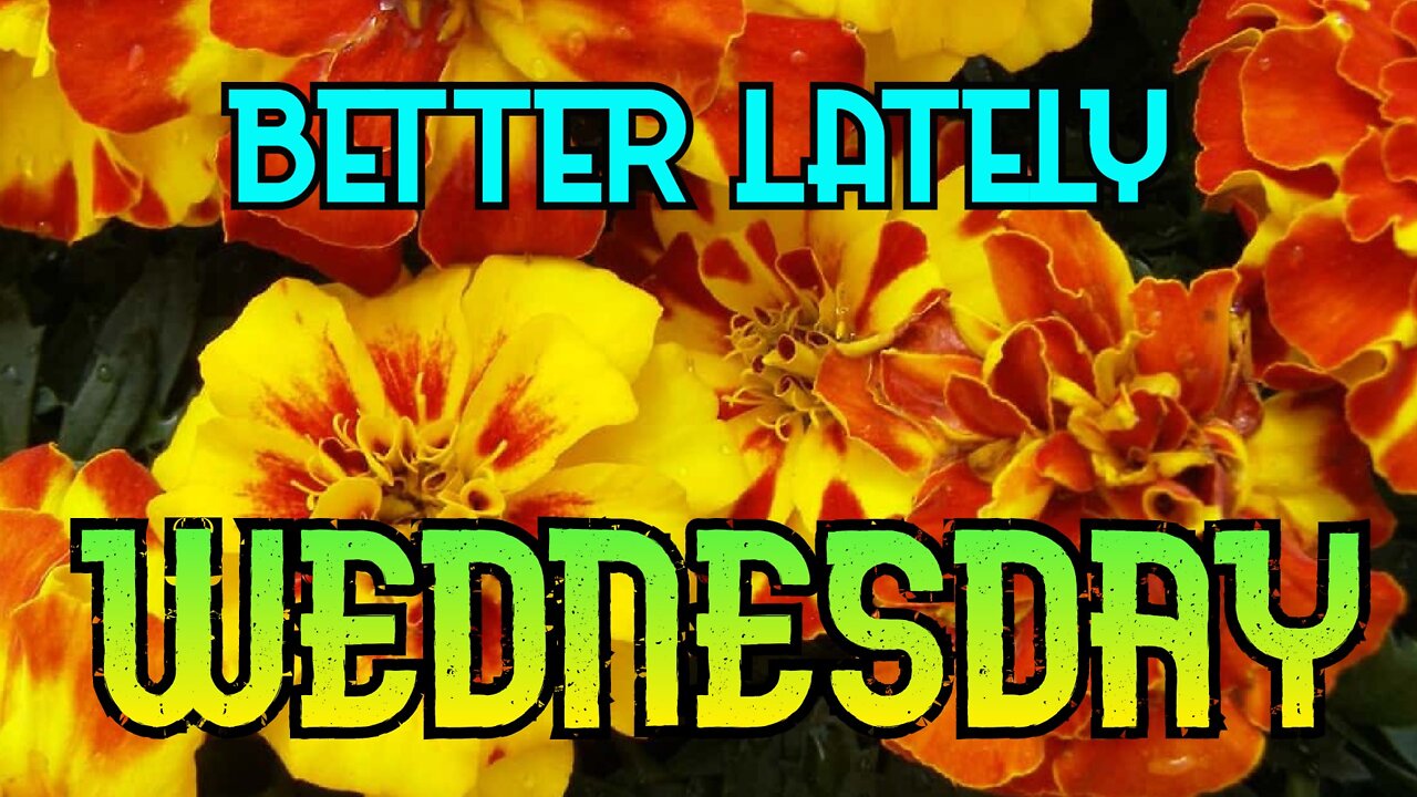 Better Lately - Wednesday