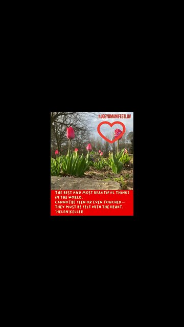 The Most Beautiful Things!