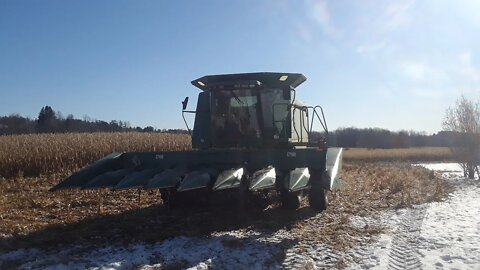 Getting down to the last of the corn