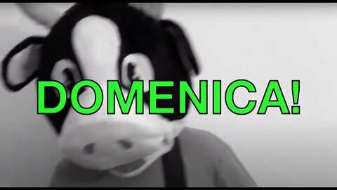 Happy Birthday DOMENICA! - COW Happy Birthday Song