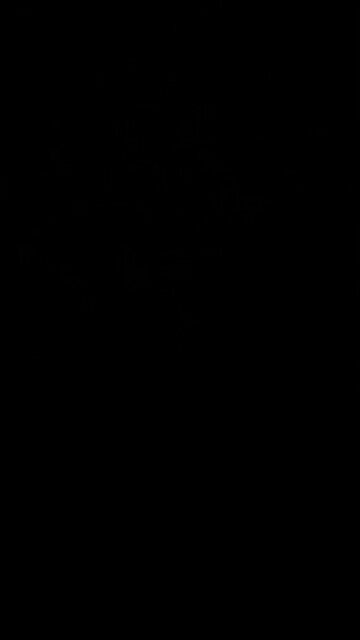 A group of owls is called a parliament