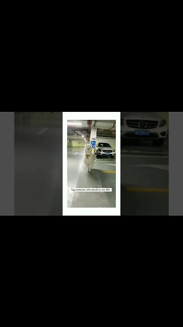 Send This To Someone