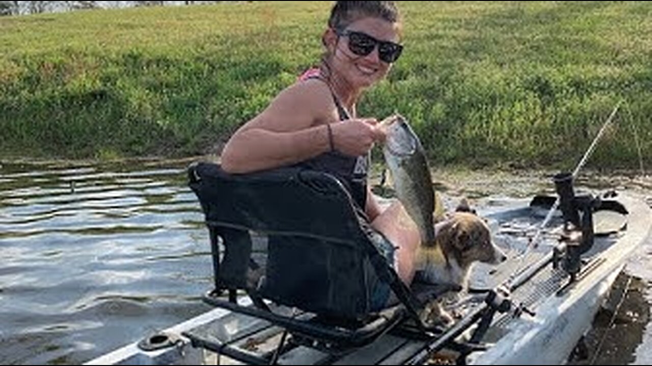 Corgi Goes Bass Fishing!