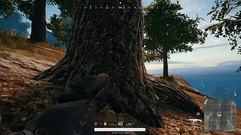 Pubg WIN