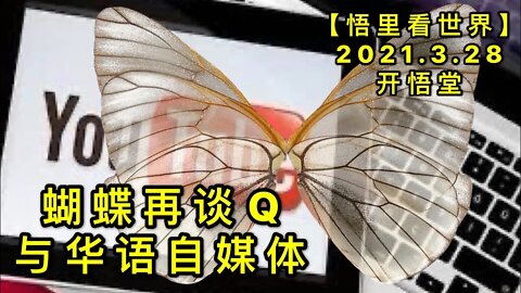 KWT1396蝴蝶再谈Q与花语自媒体20210328-7【悟里看世界】