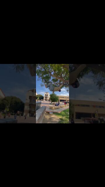 UCLA isn’t for class