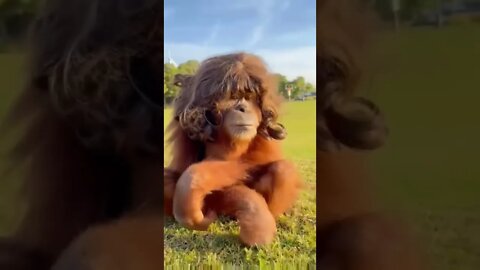 6 horas no salão pra isso 🤣🤣🤣