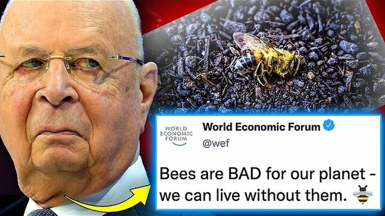 WEF Orders Govt's To Burn Millions of Bees To Usher In 'Global Famine'