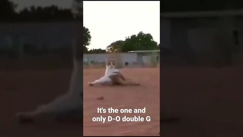 It's the one and only D-O double G #shorts