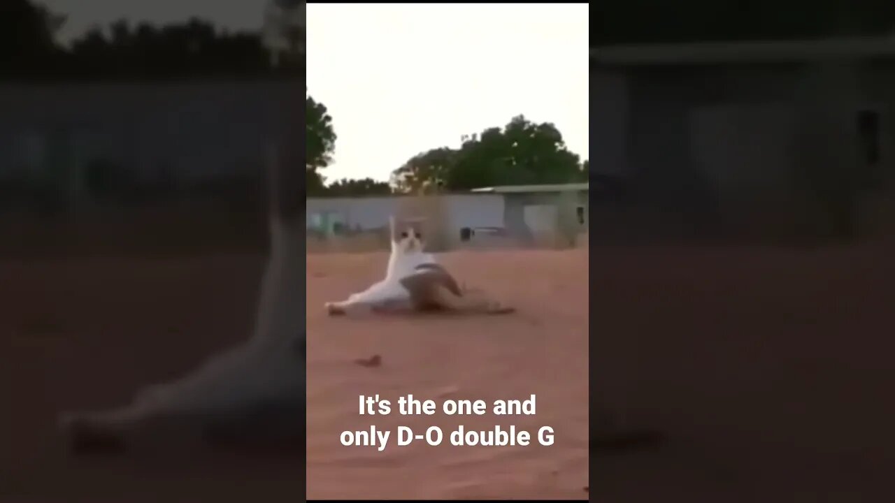 It's the one and only D-O double G #shorts